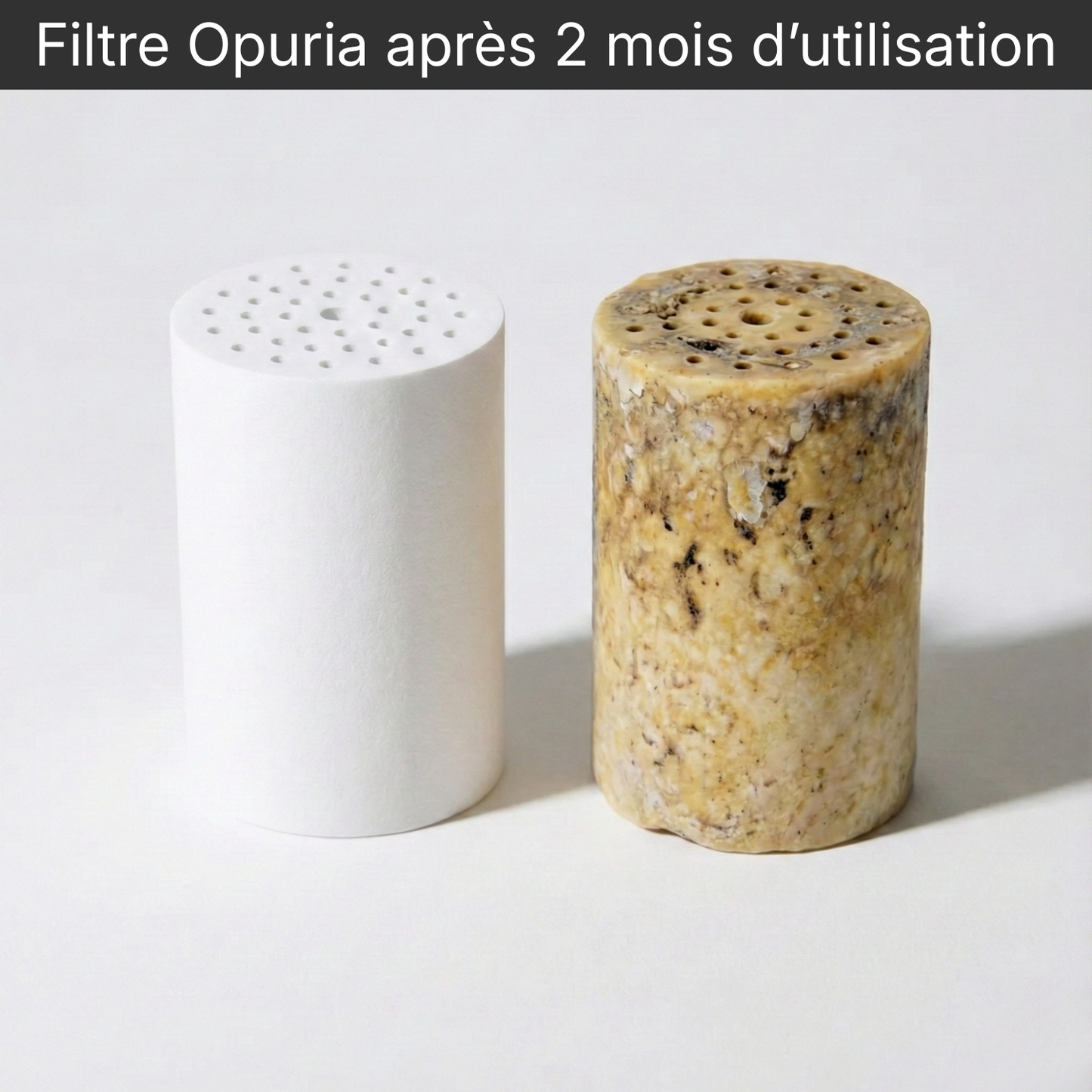 Pommeau de douche filtrant