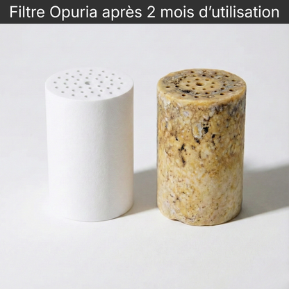 Pommeau de douche filtrant